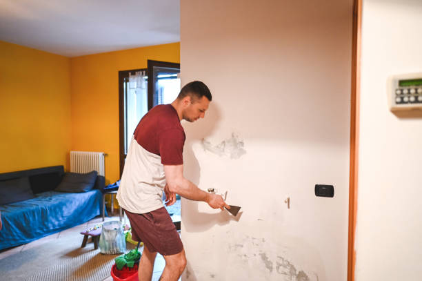Best Black Mold Removal  in Redington Shores, FL